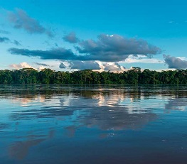 Amazonas