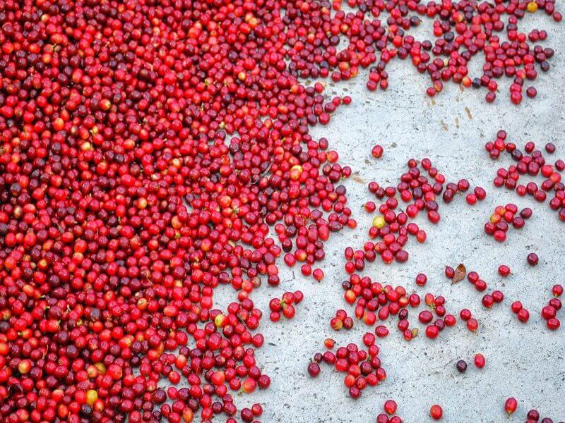 Café de Colombia