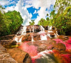 Caño Cristales