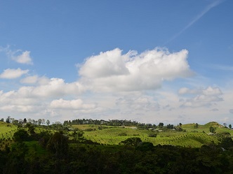 Quindio, Caldas y Risaralda