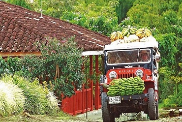 Paisaje Cultural Cafetero