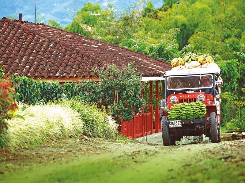 Eje cafetero, Colombia